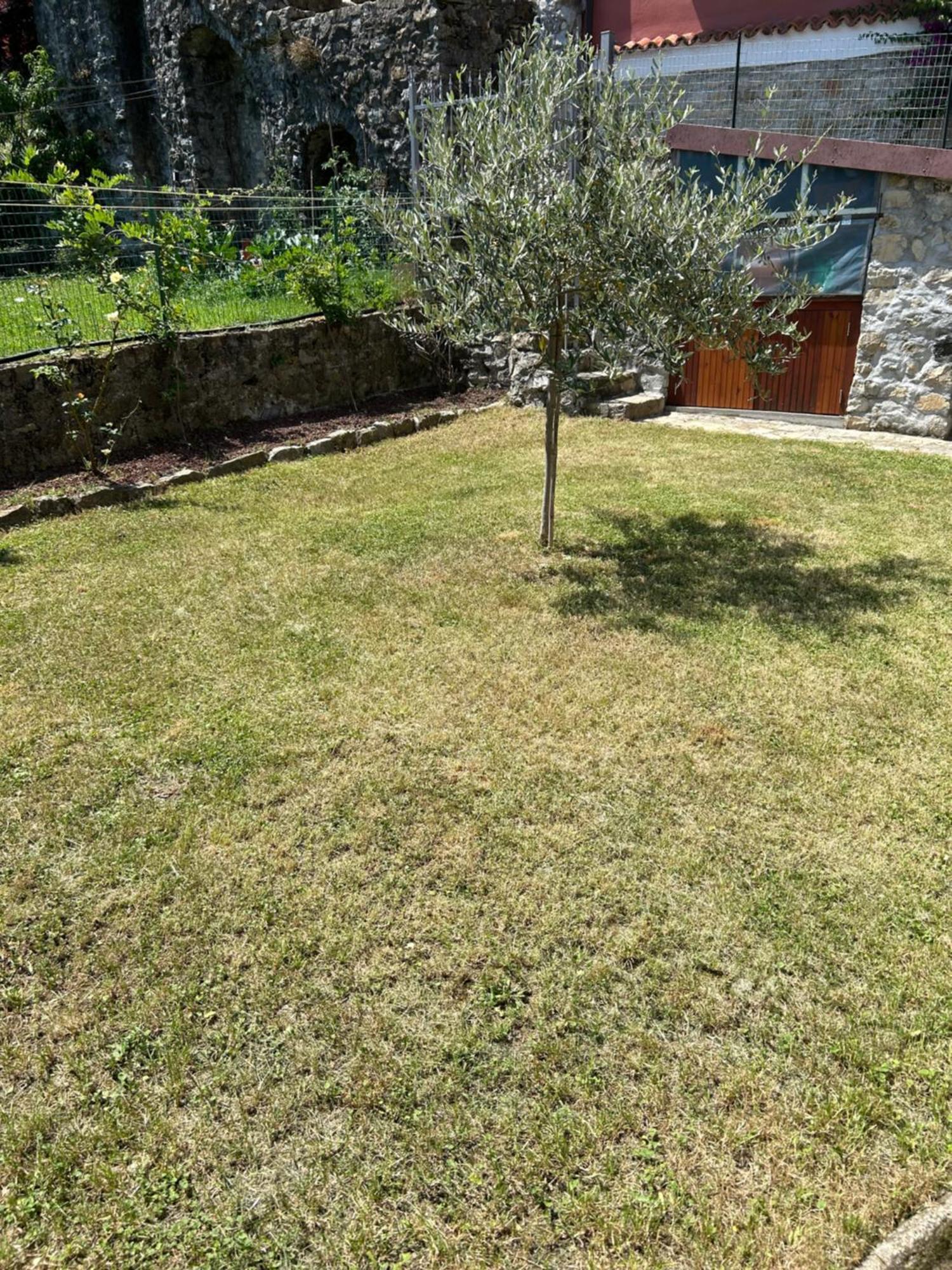 Da Serena A Casa Tua Casa de Férias Sasseta